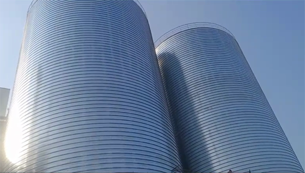 蛟河2座混凝土高架卷板仓